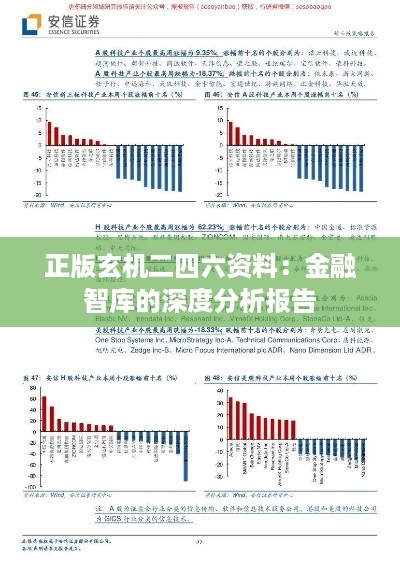 正版玄机二四六资料：金融智库的深度分析报告