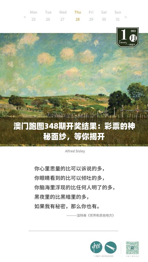 澳门跑图348期开奖结果：彩票的神秘面纱，等你揭开