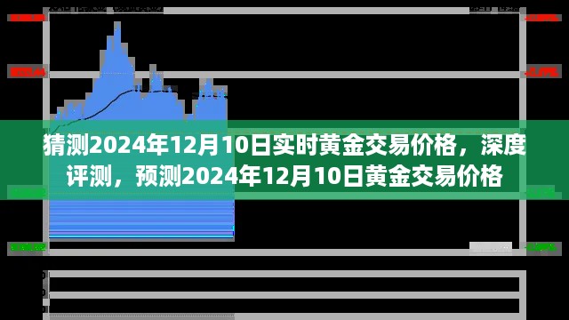 2024年12月13日 第7页