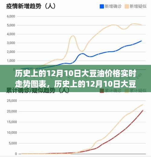 历史上的大豆油价格走势，深度解析与图表展示，全面评测与介绍产品体验指南