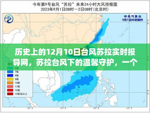 台风苏拉下的温馨守护，一个特别的12月10日故事回顾