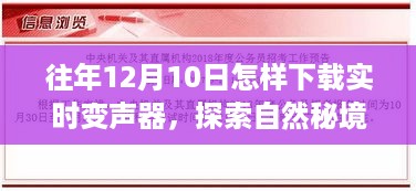 探索自然秘境，实时变声器开启心灵之旅的指南（12月10日）