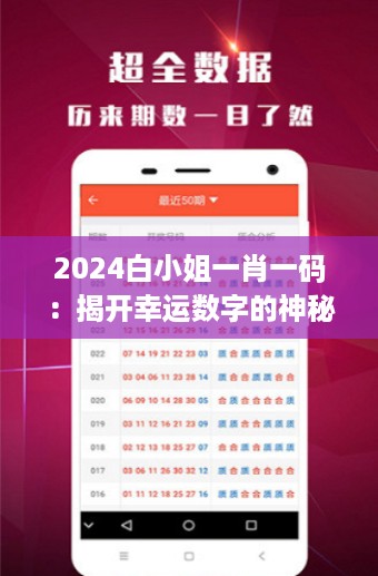 2024白小姐一肖一码：揭开幸运数字的神秘面纱