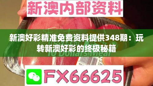 新澳好彩精准免费资料提供348期：玩转新澳好彩的终极秘籍