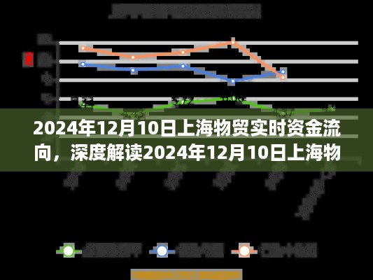 2024年12月10日上海物贸资金流向深度解读，市场走势与个人观点探析