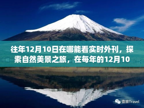 探索自然美景之旅，与世界同步的实时外刊阅读体验与内心宁静的追寻之道（每年的1月10日）