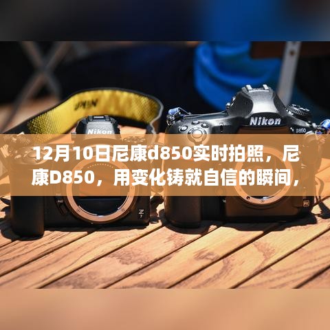 尼康D850，瞬间自信，心灵鼓舞的摄影之旅