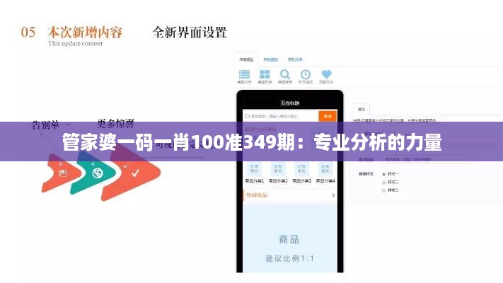 管家婆一码一肖100准349期：专业分析的力量