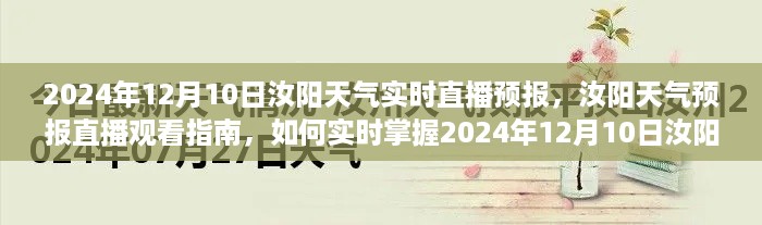 2024年12月10日汝阳天气预报实时直播，掌握天气动态观看指南