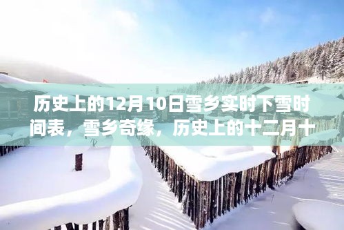 历史上的雪乡奇缘，雪落时间表揭秘，探寻雪乡的神秘魅力