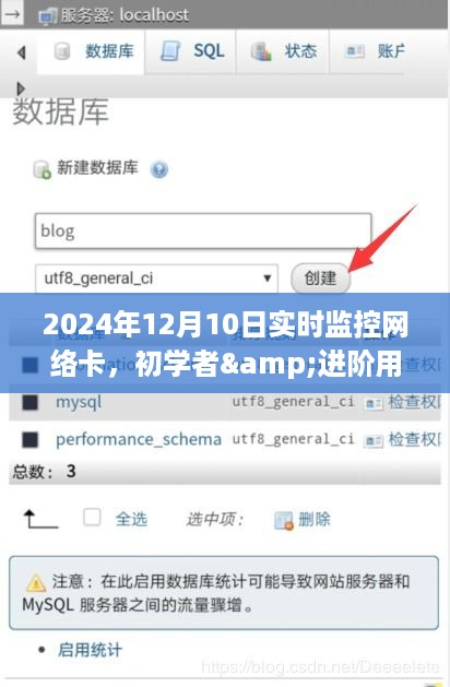 初学者与进阶用户适用的网络卡设置详解，2024年12月10日实时监控网络卡设置步骤指南