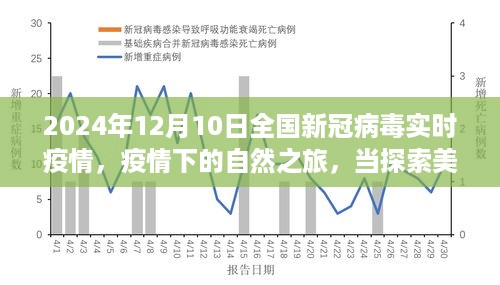 疫情下的自然之旅，探索美景成为内心的避风港——全国新冠病毒实时疫情报告