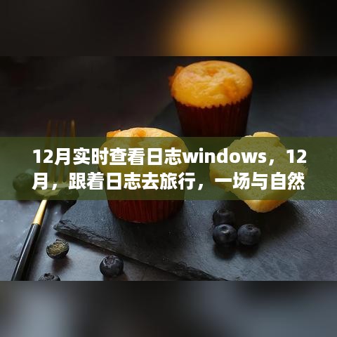 12月日志之旅，与自然美景的冬日邂逅，实时查看日志Windows