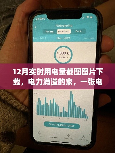 电力满溢的家，12月实时用电量截图揭示的温馨故事