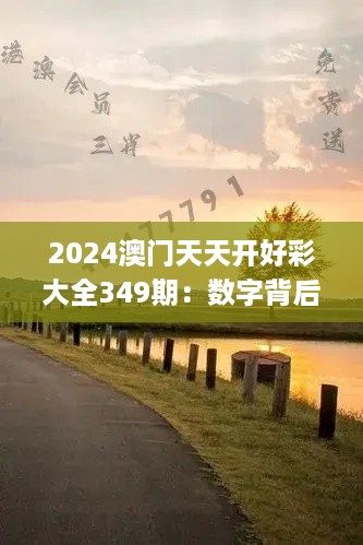 2024澳门天天开好彩大全349期：数字背后的财富密码