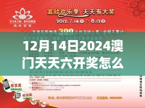 12月14日2024澳门天天六开奖怎么玩：刺激与乐趣并存