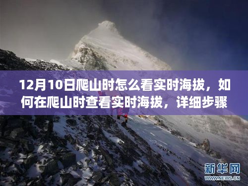 详细步骤指南，如何在爬山时查看实时海拔（初学者与进阶用户适用）