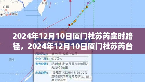 2024年12月10日厦门杜苏芮台风实时路径预测与分析