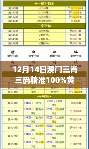 12月14日澳门三肖三码精准100%黄大仙：黄大仙的预测魅力无限