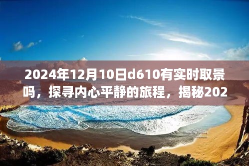 探寻内心平静的旅程，揭秘D610实时取景下的自然美景与摄影体验（2024年12月10日）