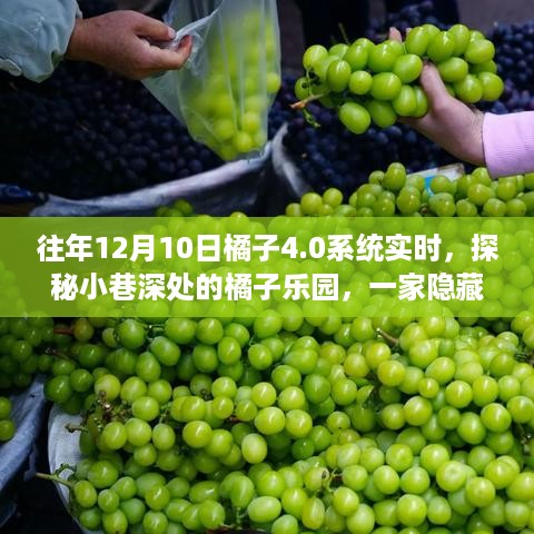 探秘隐藏版橘子乐园，4.0系统实时之旅的特色小店