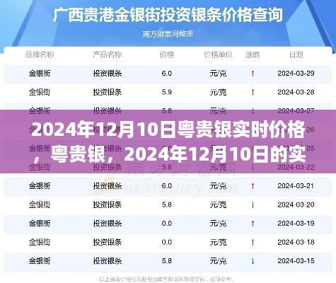 粤贵银实时价格动态，2024年12月10日的行情与影响分析