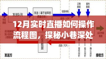 探秘十二月实时直播操作流程图，小巷深处的直播新星揭秘直播流程之路