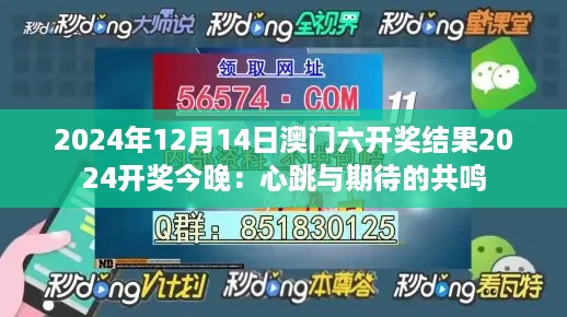 2024年12月14日澳门六开奖结果2024开奖今晚：心跳与期待的共鸣