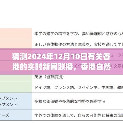 香港实时新闻联播，探索秘境之旅，寻找心灵净土在行动（2024年12月10日）