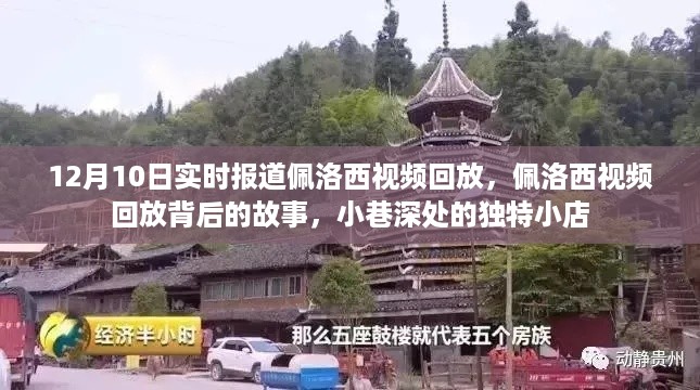 佩洛西视频回放，揭秘小巷深处独特小店的背后故事，12月10日实时报道