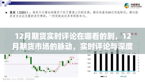 12月期货市场深度洞察，实时评论与脉动分析