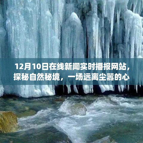 探秘自然秘境的心灵之旅，12月10日在线新闻播报新篇章开启