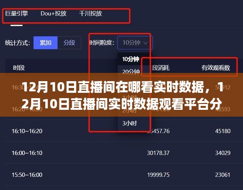 12月10日直播间实时数据观看指南，平台选择与数据分析