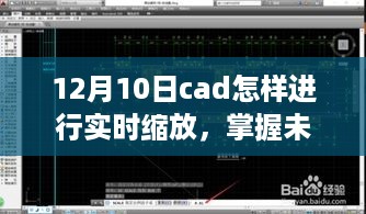 掌握未来，CAD实时缩放技巧学习，赋予变化的力量