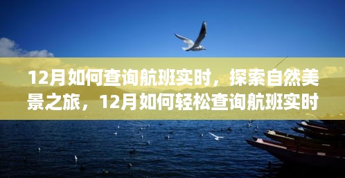 探索自然美景之旅，揭秘十二月航班实时查询攻略，启程寻找内心平静之旅