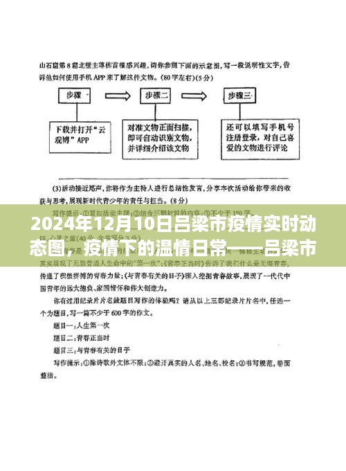 吕梁市疫情动态更新，温情抗疫日常——2024年12月10日吕梁抗疫纪实