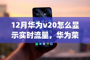 华为荣耀V20实时流量查看指南，12月华为V20流量监控教程