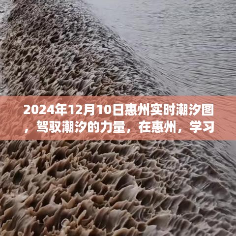 驾驭潮汐的力量，惠州潮汐图与成就之航的启示（2024年12月10日实时更新）