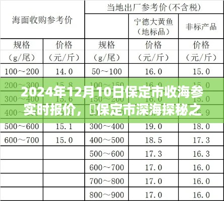 保定市海参市场实时报价，深海探秘之旅追寻海参足迹，重拾内心宁静和谐