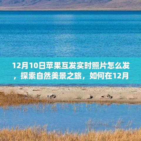 探索自然美景之旅，如何用苹果实时照片分享心灵瞬间在12月10日的点滴回忆