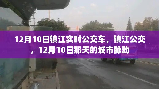 镇江公交实时动态，城市脉动在12月10日的公交出行中展现