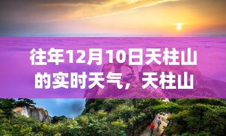 天柱山脚下的惊喜，12月10日实时天气与深山小巷的特色小店探索