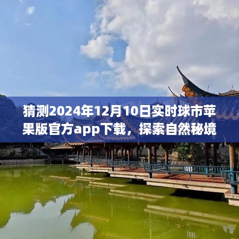 探索自然秘境，启程心灵之旅，预测苹果版官方球市app下载之旅