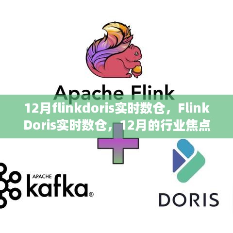 12月FlinkDoris实时数仓，行业焦点与深度洞察