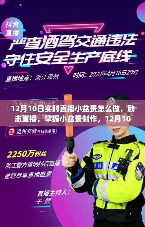 12月1 0日直播，小盆景制作的艺术与力量的绽放