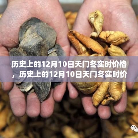 天门冬药材市场风云变迁，历史12月10日实时价格探析