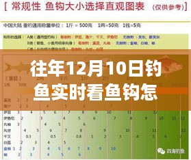 往年12月10日钓鱼实时观察鱼钩动态的技巧与观点分析