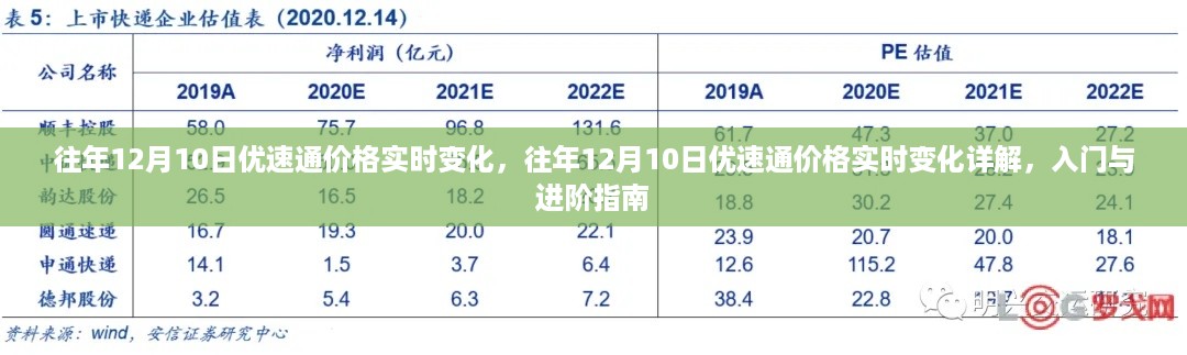 往年12月10日优速通价格实时变化解析，入门与进阶指南