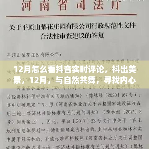 12月抖音实时评论指南，与自然共舞，探寻内心宁静之地的美景分享