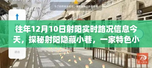 探秘射阳隐藏小巷的神秘路况之旅，实时路况信息与特色小店揭秘